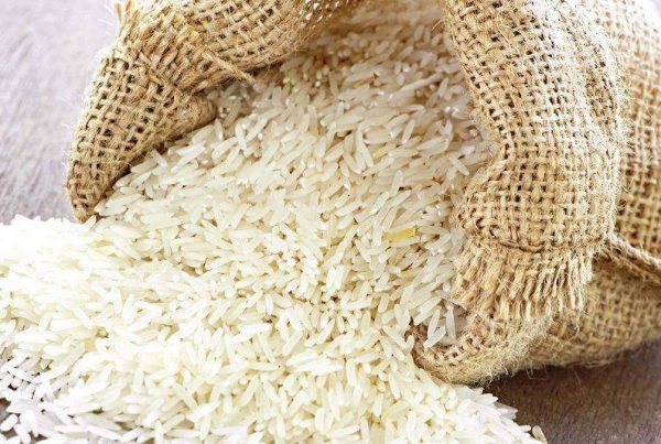 arroz en extremadura