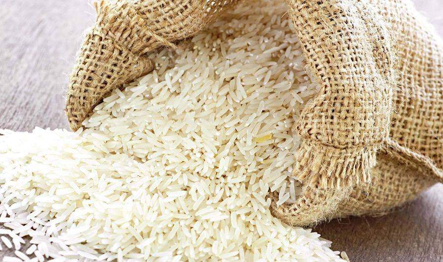 El arroz en Extremadura: plantación y recolección