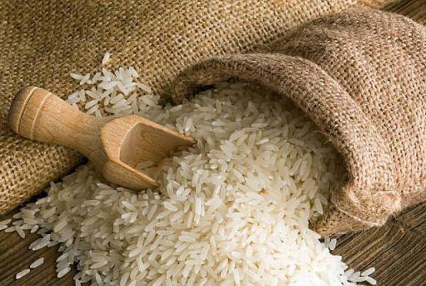 arroz extremeño